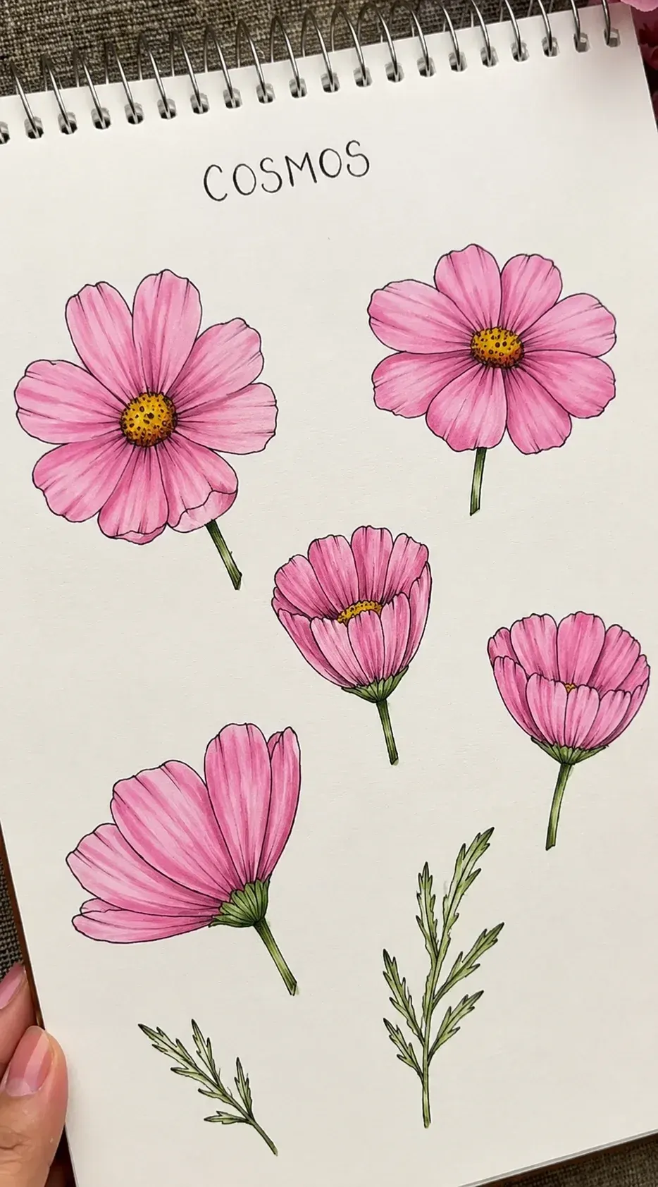 Master the Art of Drawing Flowers and Leaves